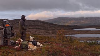 Et år på loffen 2 En siste smak av sommer [upl. by Nailliw]