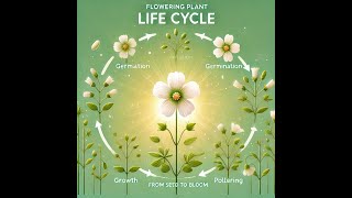 1 FLOWERING PLANTS VS NONFLOWERING PLANTS [upl. by Gertrude]