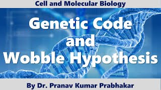 Genetic Code and Wobble Hypothesis CSIR GATE pkprabhakar [upl. by Hibben]