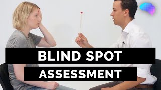 Blind Spot Assessment  OSCE Guide  UKMLA  CPSA [upl. by Alil]