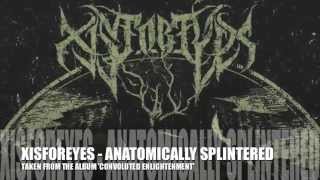 XISFOREYES  ANATOMICALLY SPLINTERED  NEW SONG 2015 [upl. by Aiciled]