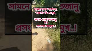 আড়ালে চলে পরনিন্দা viralvideo motivation whatismygoaloflife [upl. by Moraj]