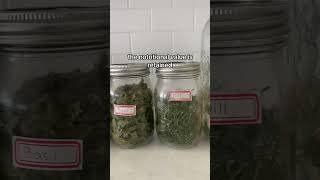 Freeze Dried Vs Dehydrated Herbs  calendula oregano basil dill [upl. by Pickford]