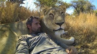 GoPro Lions  The New Endangered Species [upl. by Mcclain]