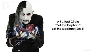 A Perfect Circle  Eat the Elephant Subtitulado al Español [upl. by Sairacaz274]