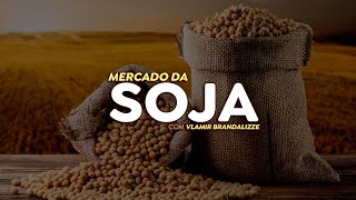 Mercado da soja aguarda pela China biodiesel deve impulsionar o setor em 2025 [upl. by Aiel]