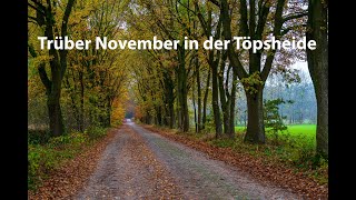 Trüber November in der Töpsheide 2024 [upl. by Yknarf]