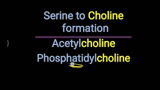 Choline formation in our body [upl. by Machutte]