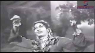 Teri Mehfil Tera Jalwa  Mohammed Rafi  SOHNI MAHIWAL  Bharat Bhushan Nimmi [upl. by Rehpotsirc977]