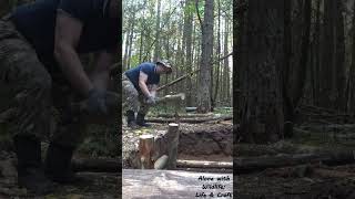 I BUILD A BEARRESISTANT SHELTER bushcraft dugout shelter wildlife dugoutshelter [upl. by Josephina]