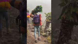 Climbing Kilimanjaro In Under A Minute [upl. by Gehlbach]