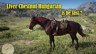 Liver Chestnut Hungarianis he fast Red Dead Redemption 2 [upl. by Aicener693]