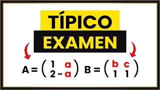 MATRICES con INCÓGNITAS 2º Bachillerato [upl. by Nirtak722]