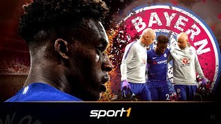 HudsonOdoi schwer verletzt Neue Chance für die Bayern  SPORT1 [upl. by Araiet837]