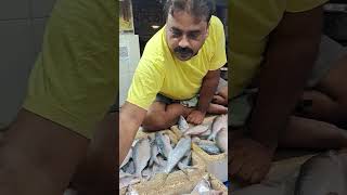 আজকে ফেসা মাছ নিলাম 400 টাকা কেজি yutubeshorts fishmarketvlog fish viralvideo [upl. by Olli]