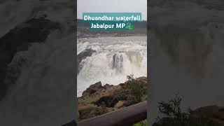 Dhuandhar waterfall bhedaghat JabalpurMP❤ Natural soundwaterfall naturebeauty shortsytshorts [upl. by Raasch]