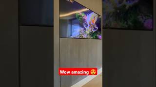 Wow amazing 😍 TV wall design ❤️ shorts shortsfeed youtubeshorts [upl. by Emiatej918]