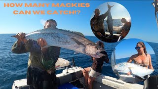 Too many Mackerel  Bottom bouncing and offshore trolling [upl. by Enyale]