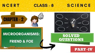 Microorganisms Friend amp FoeQampA  NCERT Science Class 8 [upl. by Aekerly745]