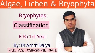 Classification of BryophytaBSc 1st year Algae Lichen amp Bryophyta By DrAmrit Daiya [upl. by Lunetta554]