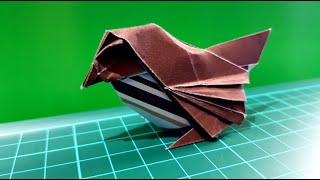 Origami Sparrow  Roman Diaz [upl. by Phelips777]