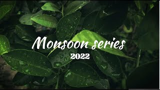 Cinematic Monsoon film  Monsoon series coming soon [upl. by Lemart]