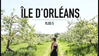 Vlog 5  île dOrléans [upl. by Ephrayim]