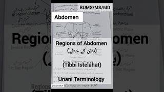 Regions of Abdomen Tibbi Istelahat Anatomy  UNANI Terminology abdomen in urdu  طبی اصلاحات  BUMS [upl. by Acinyt886]