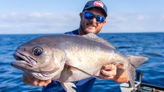 Fishing for UGLY Deep Sea Fish in AUSTRALIA [upl. by Phillane598]