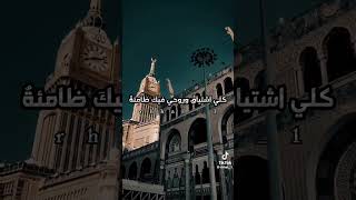 ٩ نوفمبر، ٢٠٢٤ [upl. by Ylim]