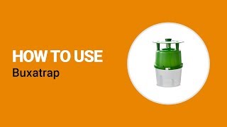 How to use Buxatrap from Koppert [upl. by Yromem245]