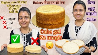 Bakery का एक ऐसा राज🤫 ❌milk सिर्फ़ पानी से बनेगा eggless cake 😧soft and spongy🙂cake gel ka magic [upl. by Edmea]