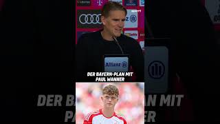 Ganz Fußballdeutschland redet aktuell über Paul Wanner 👏 shorts fcbayern [upl. by Yann]