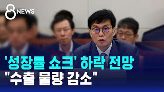 성장률 쇼크 하락 전망…quot수출 물량 감소quot  SBS 8뉴스 [upl. by Tommie]