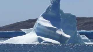 Floundering IceBerg  Greenspond Newfoundland [upl. by Aynahs]