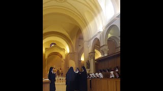 Benedictines of Mary Queen of Apostles  About Us [upl. by Ainahtan844]