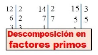 Descomponer en factores primos el numero 12 y 15 [upl. by Eillime]