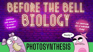 Photosynthesis Before the Bell Biology [upl. by Arreip]