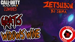 BO3 Zombies  GRATIS WIDOWS WINE dauerhaft freischalten  ZETSUBOU NO SHIMA Deutsch 1080p60 [upl. by Chiquita]