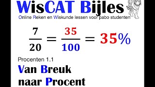 Van Breuk naar Procent  WisCAT Werkboek Procenten 11 [upl. by Anesusa733]