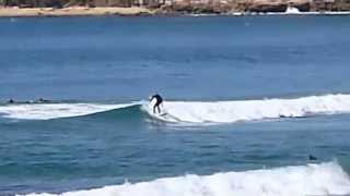 CENTRAL COAST  PELICAN BIRDIE WAMBERAL TERRIGAL  SURF [upl. by Cairistiona812]