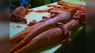 Most Bizarre Foods In America [upl. by Eelegna]