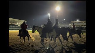 KY Derby 150 D Wayne Lukas on Just Steel Keith Asmussen amp much more [upl. by Areis198]