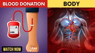 What Happens to Your Body After You Donate Blood [upl. by Leacim805]