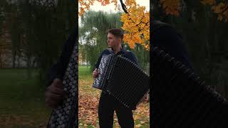 Petri Makkonen  quotLike Swansquot  Accordion Solo [upl. by Elyse]