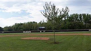 Pranksters plant 25foot tree between home plate and pitchers mound [upl. by Kurr]