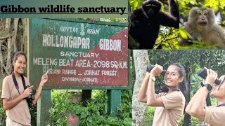 GIBBON WILDLIFE SANCTUARY 💚 Wild  Wildlife nd we [upl. by Assirual]