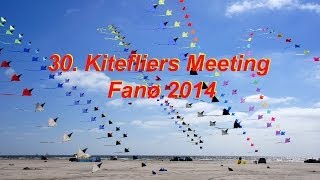 30 International Kitefliers Meeting Fanø 2014 [upl. by Kella]