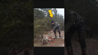 Rescue Mission Gone Wild Hunter Faces Off with Trapped Lynx 🐾🔥 Shorts viralvideo [upl. by Gipsy]