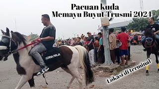 Pacuan Kuda Memayu Buyut Trusmi 2024 [upl. by Abebi]